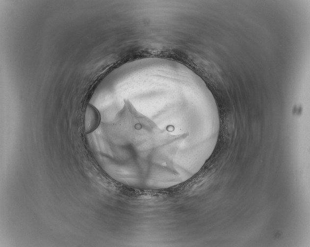 X0000091581105200709101012