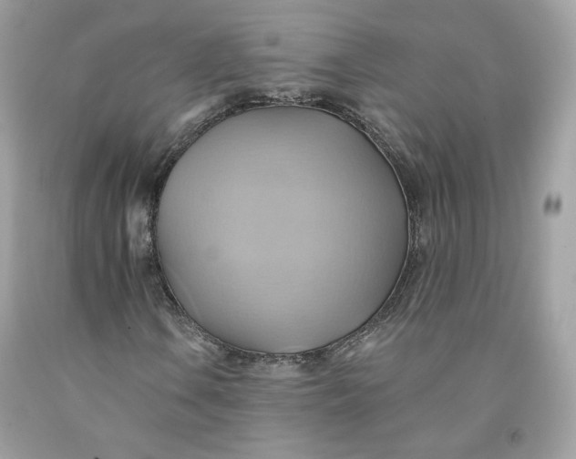 X0000091581106200709101012