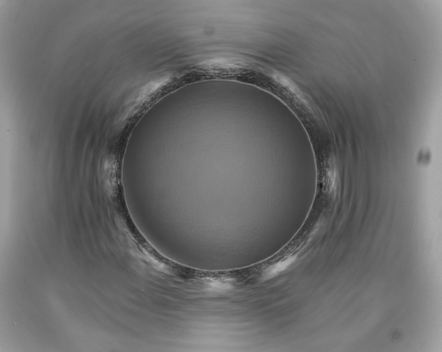 X0000091581108200709101012