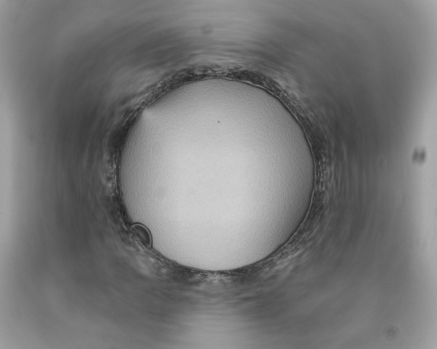 X0000091581109200709101012