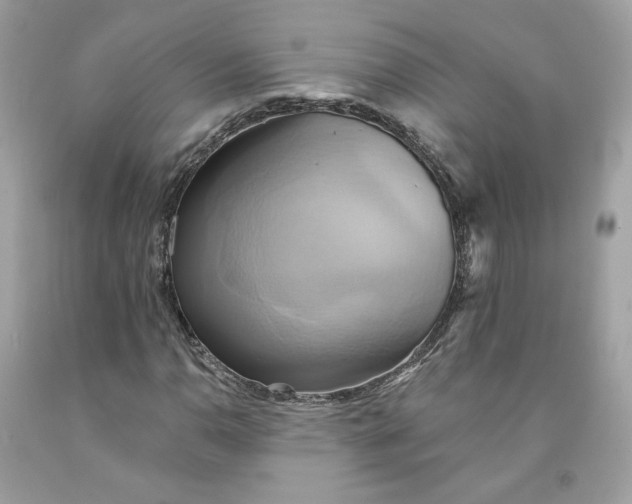 X0000091581110200709101012