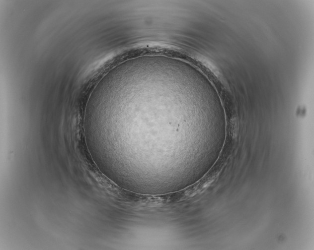 X0000091581111200709101012