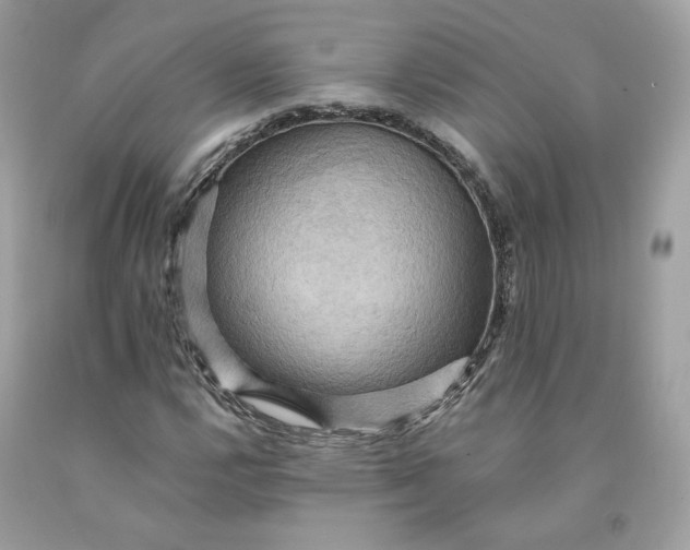 X0000091581112200709101012