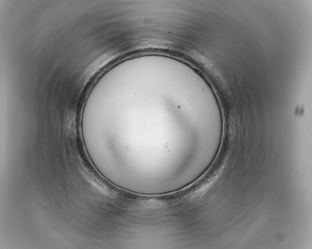 X0000091581113200709101012