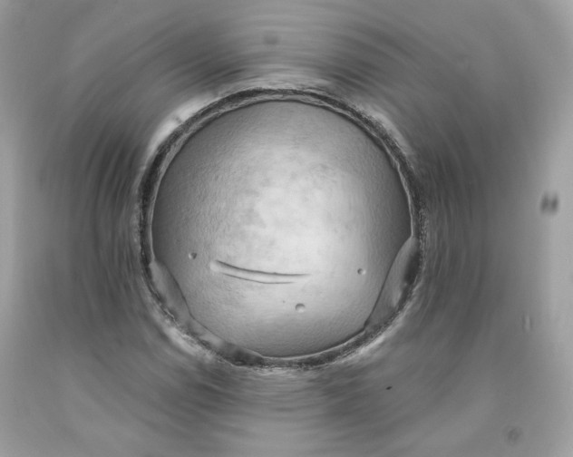 X0000091581114200709101012