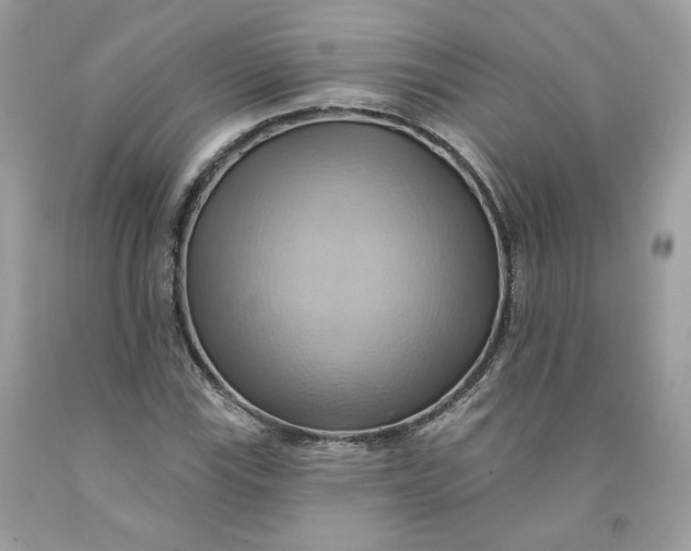 X0000091581115200709101012