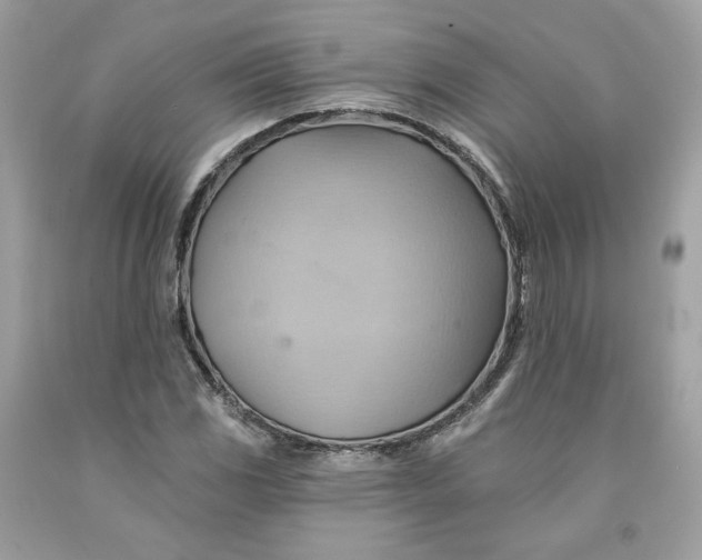 X0000091581117200709101012