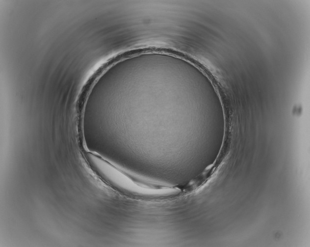 X0000091581118200709101012