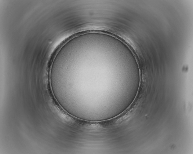 X0000091581119200709101012