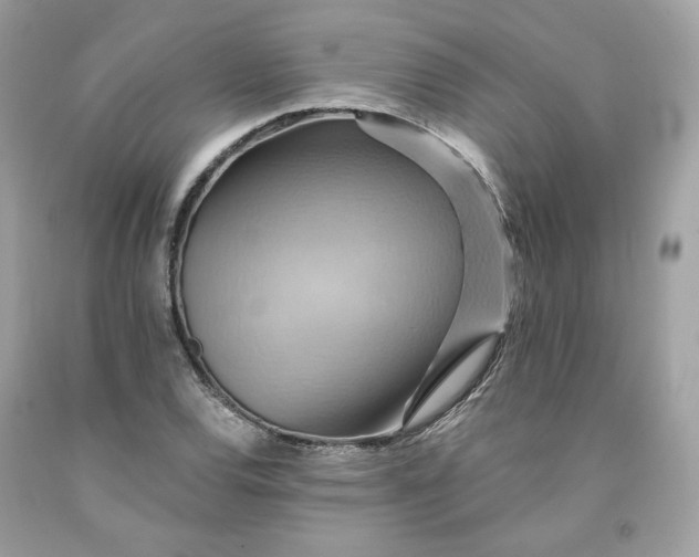 X0000091581120200709101012