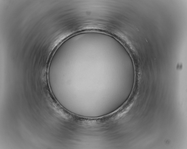 X0000091581121200709101012