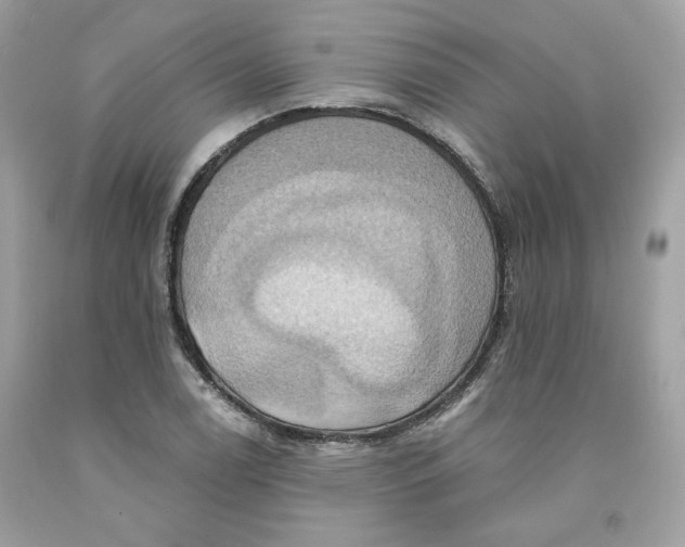 X0000091581122200709101012