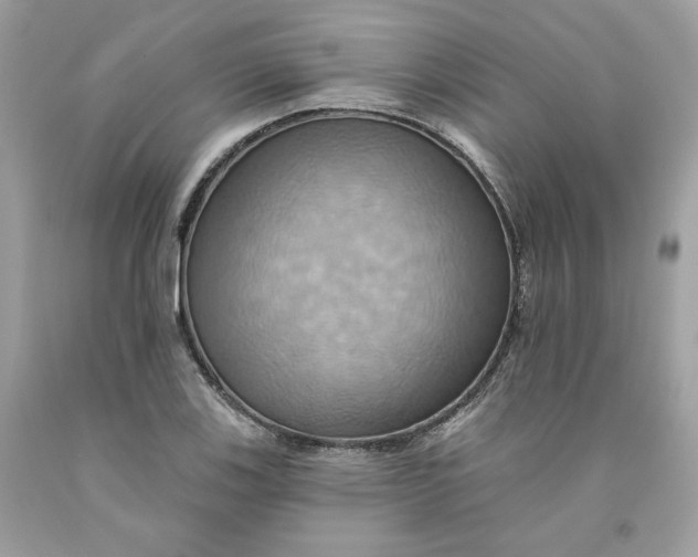 X0000091581123200709101012