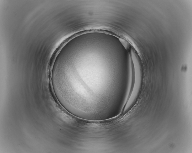 X0000091581124200709101012