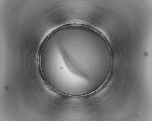 X0000091581125200709101012