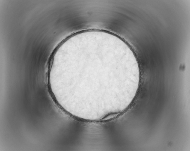 X0000091581126200709101013