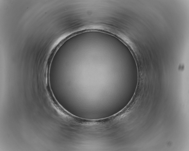 X0000091581127200709101013