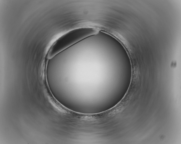 X0000091581128200709101013