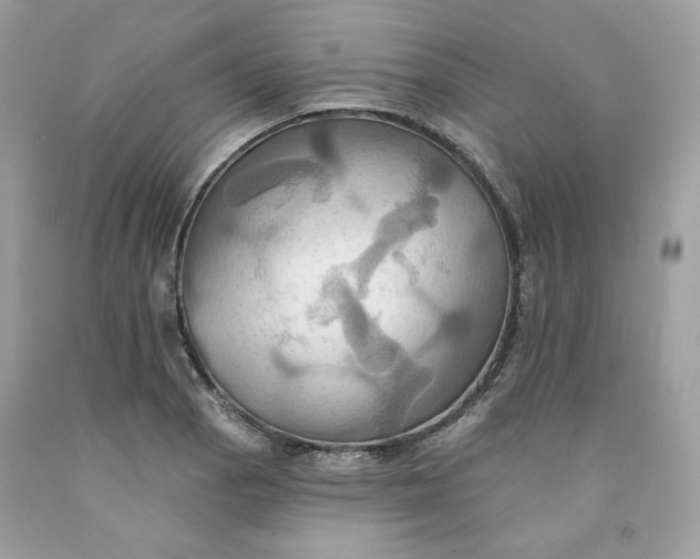 X0000091581129200709101013