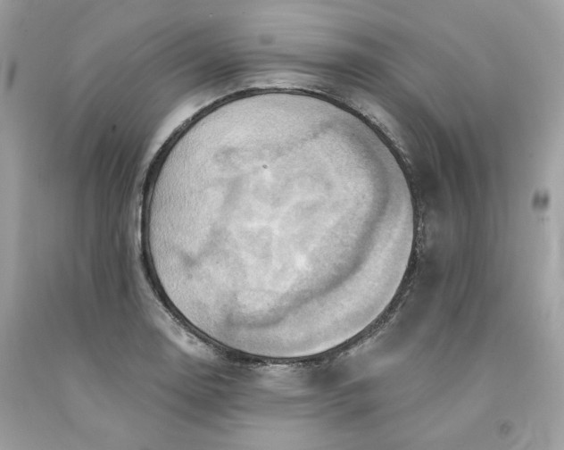 X0000091581130200709101013