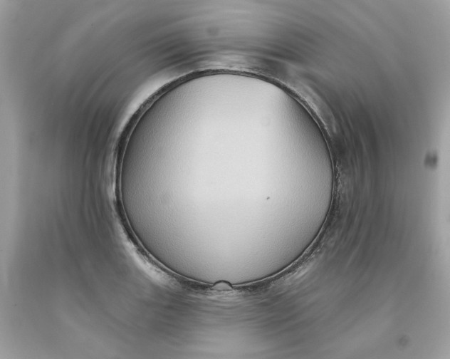 X0000091581131200709101013