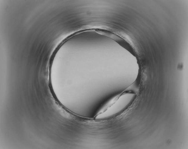 X0000091581132200709101013