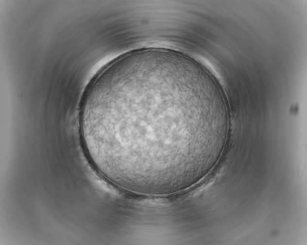 X0000091581133200709101013