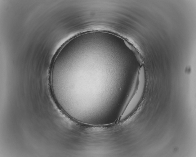 X0000091581134200709101013