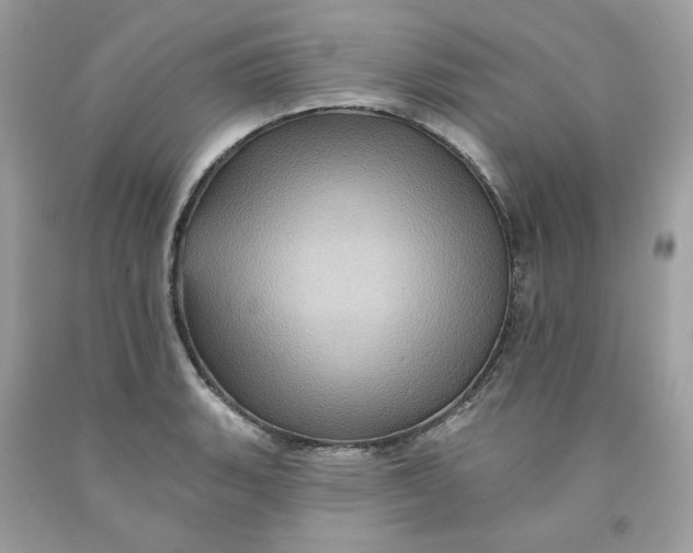 X0000091581135200709101013