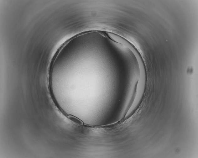 X0000091581136200709101013