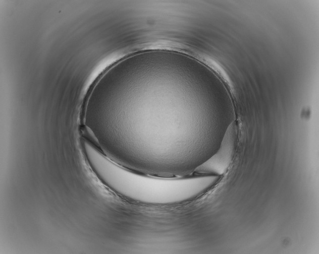 X0000091581138200709101013