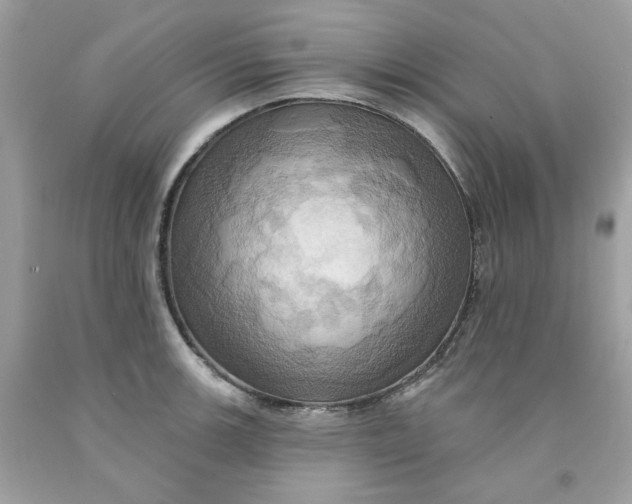 X0000091581139200709101013