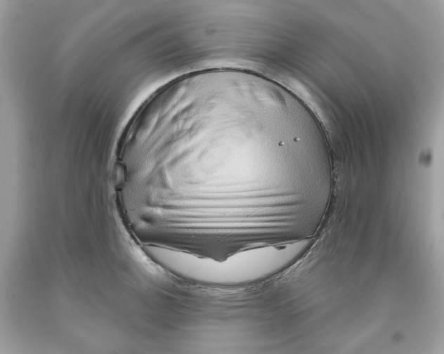 X0000091581140200709101013