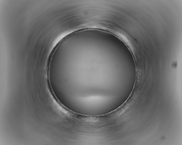 X0000091581141200709101013