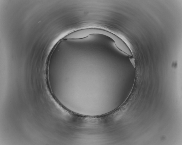 X0000091581142200709101013