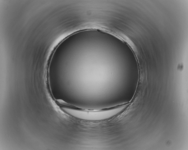 X0000091581144200709101013