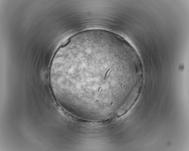 X0000091581145200709101013