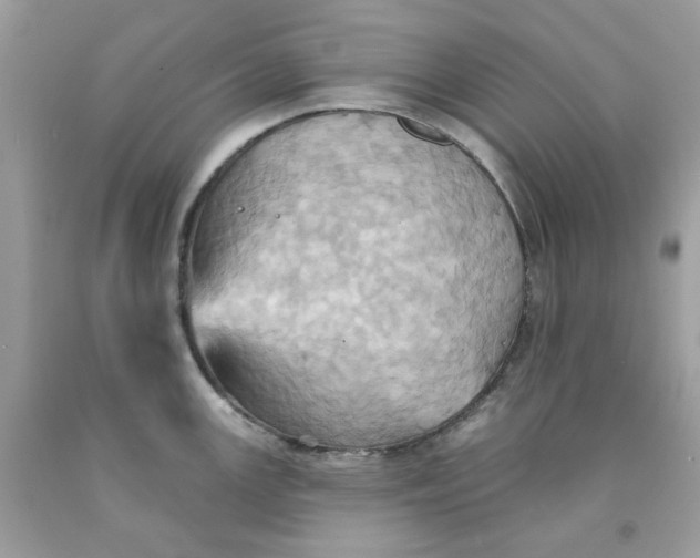 X0000091581147200709101013