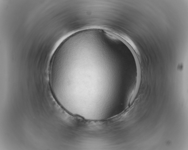 X0000091581148200709101013