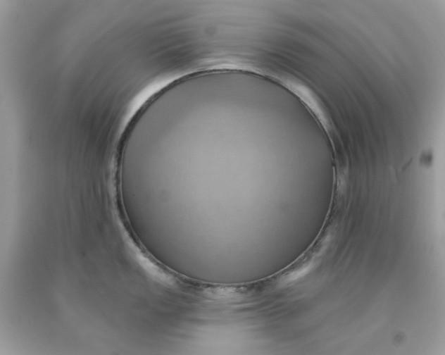 X0000091581149200709101013