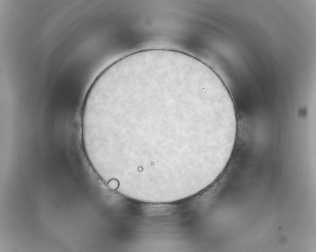 X0000091581150200709101013