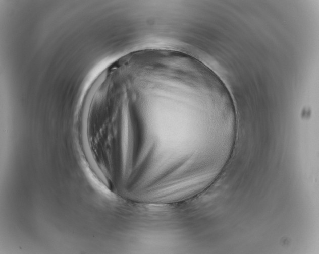 X0000091581152200709101013