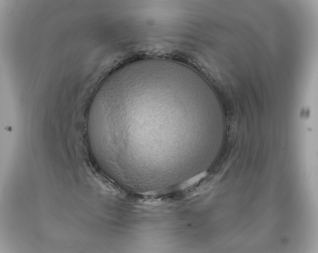 X0000091581153200709101012