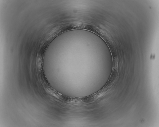 X0000091581154200709101012