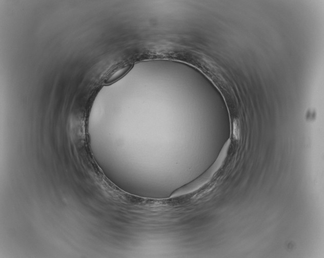 X0000091581155200709101012