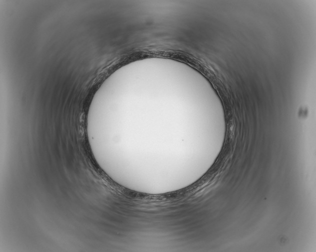 X0000091581156200709101012