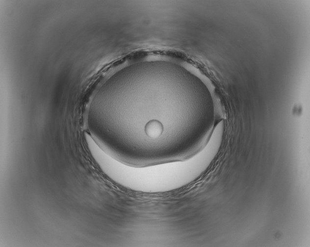 X0000091581157200709101012