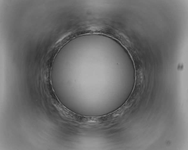 X0000091581158200709101012