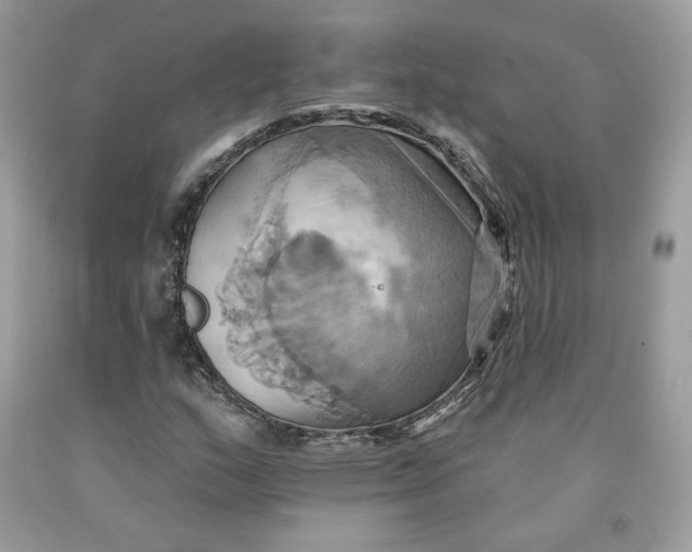 X0000091581159200709101012