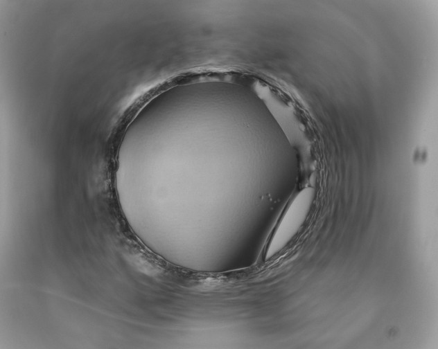 X0000091581160200709101012